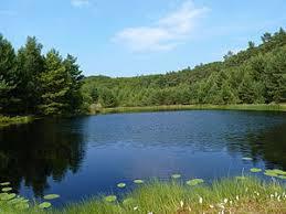 Mümmelkensee